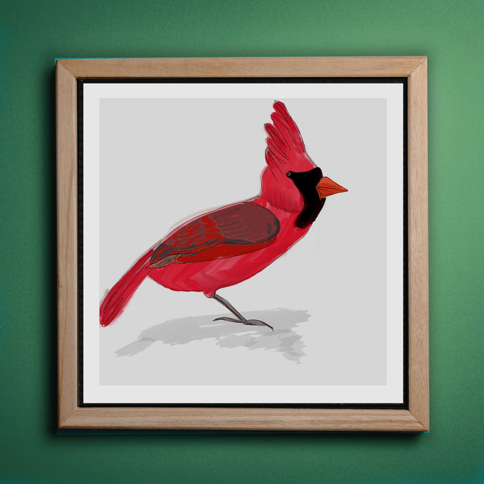 Cardinal Bird North American Birds Series Art Print-Illustration and Collage Print- by Stephanie Rowan - Lake and River Studio