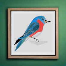 Load image into Gallery viewer, Eastern Bluebird North American Bird Series Art Print-Illustration and Collage Print- by Stephanie Rowan - Lake and River Studio
