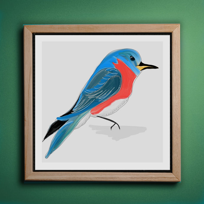 Eastern Bluebird North American Bird Series Art Print-Illustration and Collage Print- by Stephanie Rowan - Lake and River Studio