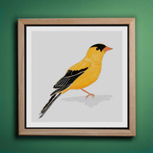 Load image into Gallery viewer, Gold Finch North American Bird Painting Art Print-Illustration and Collage Print- by Stephanie Rowan - Lake and River Studio
