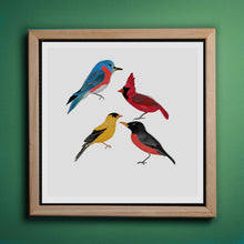 Load image into Gallery viewer, North American Birds of Minnesota Art Print, Robin, Finch, Cardinal, Bluebird-Illustration and Collage Print- by Stephanie Rowan - Lake and River Studio
