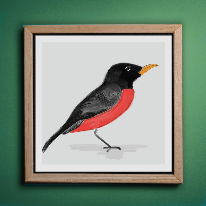 Robin Bird Art Print North American Birds-Illustration and Collage Print- by Stephanie Rowan - Lake and River Studio
