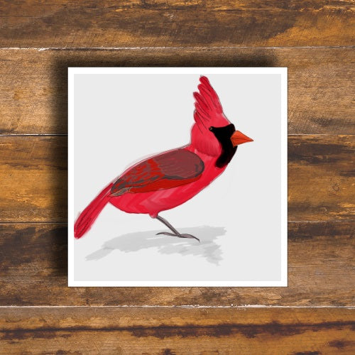 Red Cardinal Painted Bird Greeting Card | Square-Stationary- by Stephanie Rowan - Lake and River Studio