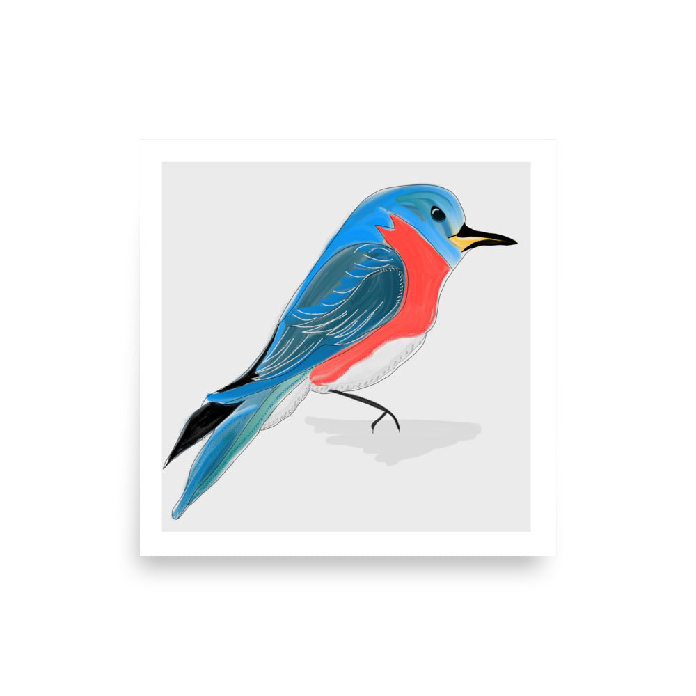 Eastern Bluebird North American Bird Series Art Print- by Stephanie Rowan - Lake and River Studio