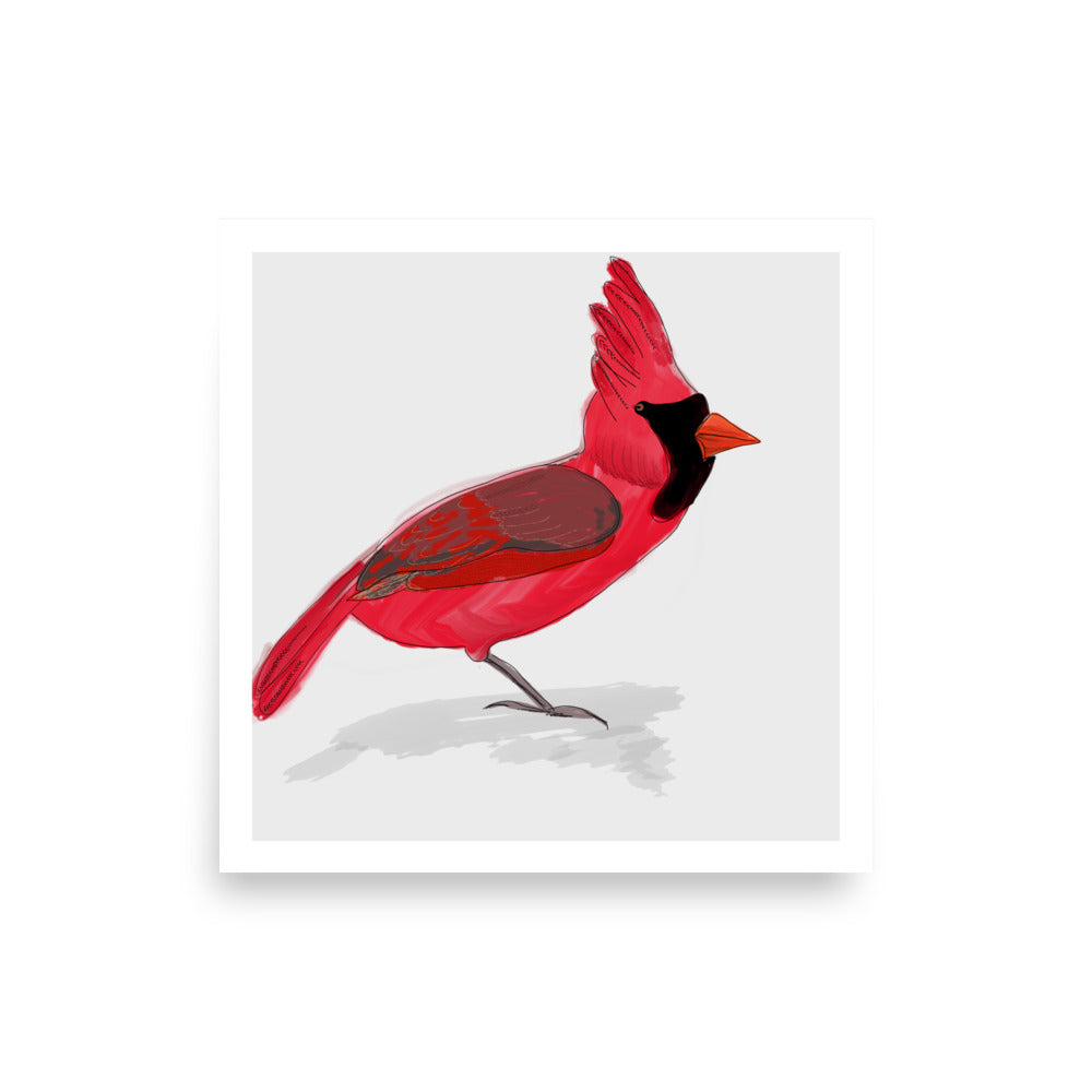 Cardinal Bird North American Birds Series Art Print- by Stephanie Rowan - Lake and River Studio