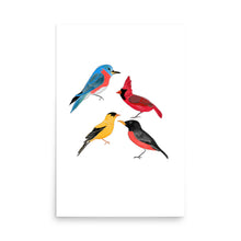 Load image into Gallery viewer, North American Birds of Minnesota Art Print, Robin, Finch, Cardinal, Bluebird- by Stephanie Rowan - Lake and River Studio

