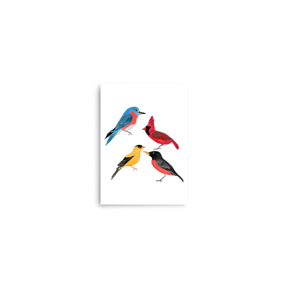 North American Birds of Minnesota Art Print, Robin, Finch, Cardinal, Bluebird- by Stephanie Rowan - Lake and River Studio