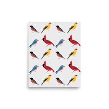 Load image into Gallery viewer, North American Birds in Minnesota Pattern Art Print- by Stephanie Rowan - Lake and River Studio
