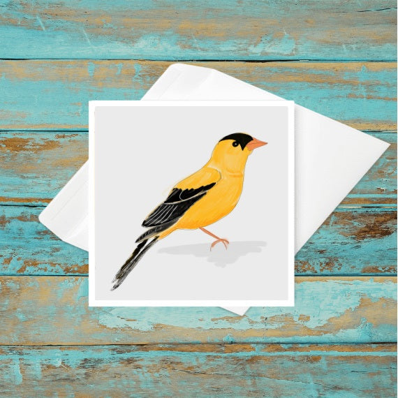 Gold Finch Painted Bird Greeting Card | Square-Stationary- by Stephanie Rowan - Lake and River Studio