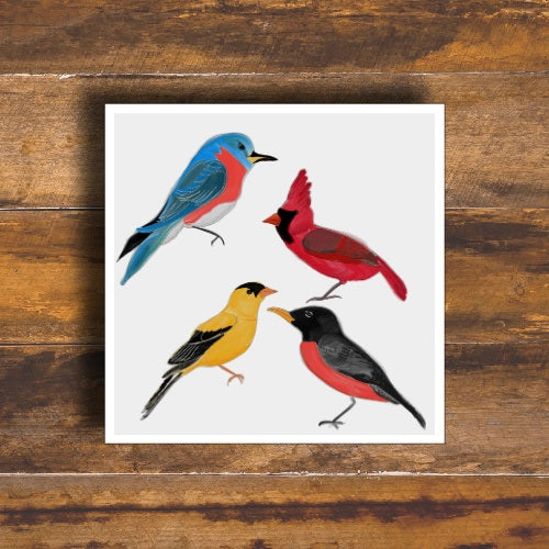 North American Birds Greeting Card | Square-Stationary- by Stephanie Rowan - Lake and River Studio