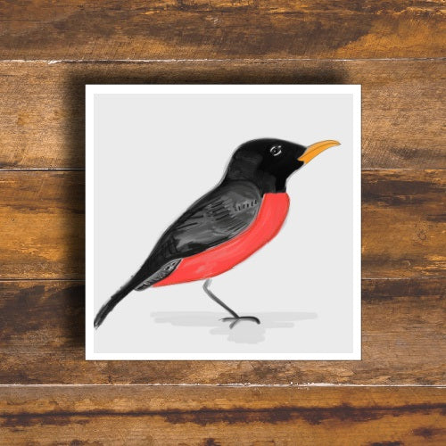 Robin Painted Bird Greeting Card | Square-Stationary- by Stephanie Rowan - Lake and River Studio